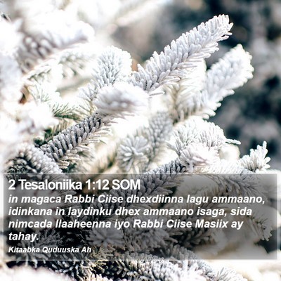 2 Tesaloniika 1:12 SOM Bible Verse Image
