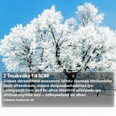 2 Tesaloniika 1:4 SOM Bible Verse Image