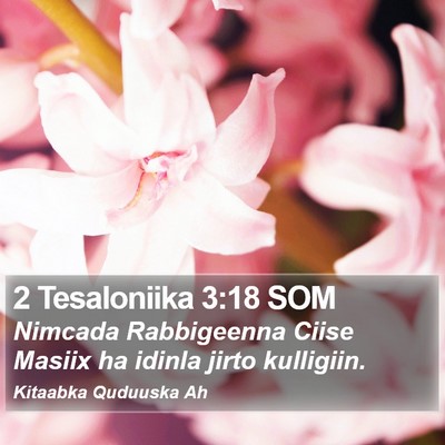 2 Tesaloniika 3:18 SOM Bible Verse Image