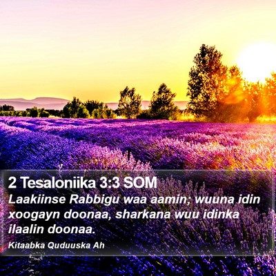 2 Tesaloniika 3:3 SOM Bible Verse Image
