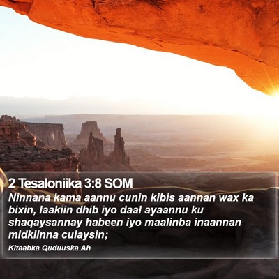 2 Tesaloniika 3:8 SOM Bible Verse Image