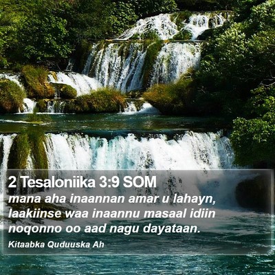 2 Tesaloniika 3:9 SOM Bible Verse Image