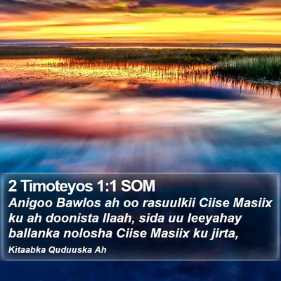 2 Timoteyos 1:1 SOM Bible Verse Image
