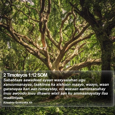 2 Timoteyos 1:12 SOM Bible Verse Image