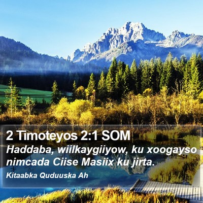 2 Timoteyos 2:1 SOM Bible Verse Image