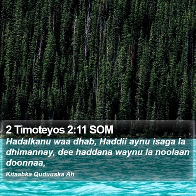 2 Timoteyos 2:11 SOM Bible Verse Image