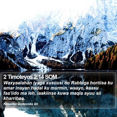 2 Timoteyos 2:14 SOM Bible Verse Image