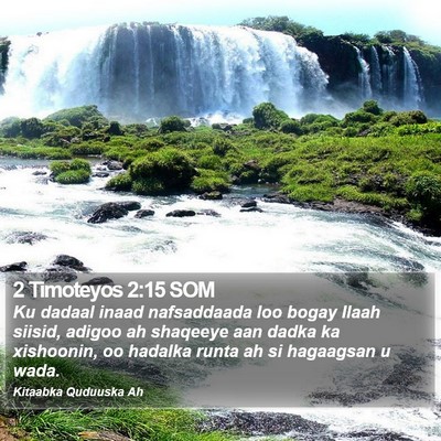2 Timoteyos 2:15 SOM Bible Verse Image