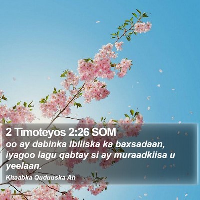 2 Timoteyos 2:26 SOM Bible Verse Image