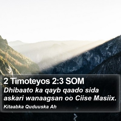 2 Timoteyos 2:3 SOM Bible Verse Image