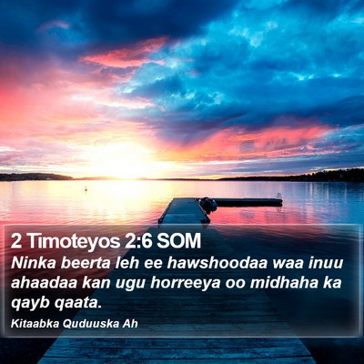 2 Timoteyos 2:6 SOM Bible Verse Image