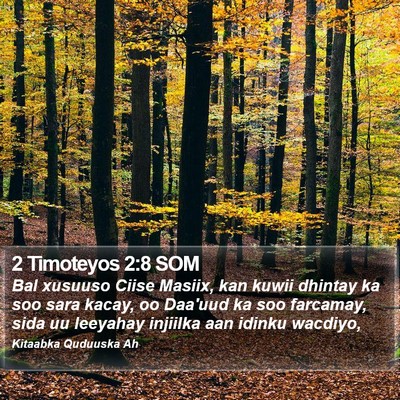 2 Timoteyos 2:8 SOM Bible Verse Image