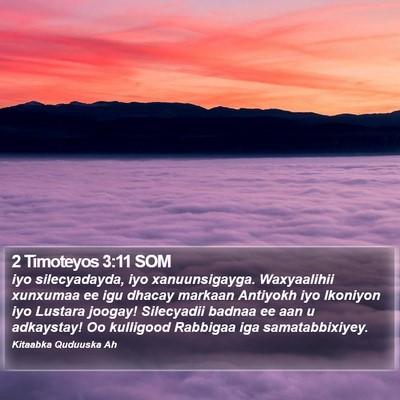 2 Timoteyos 3:11 SOM Bible Verse Image