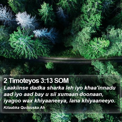 2 Timoteyos 3:13 SOM Bible Verse Image