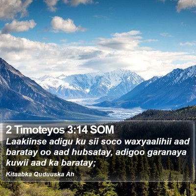 2 Timoteyos 3:14 SOM Bible Verse Image