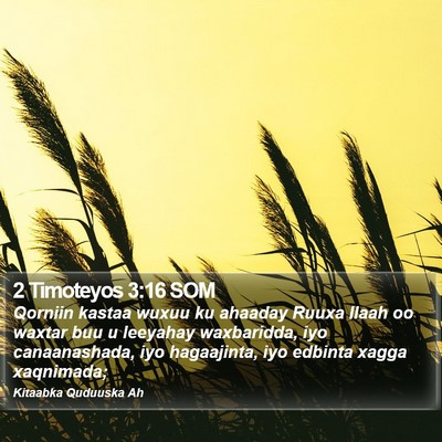 2 Timoteyos 3:16 SOM Bible Verse Image