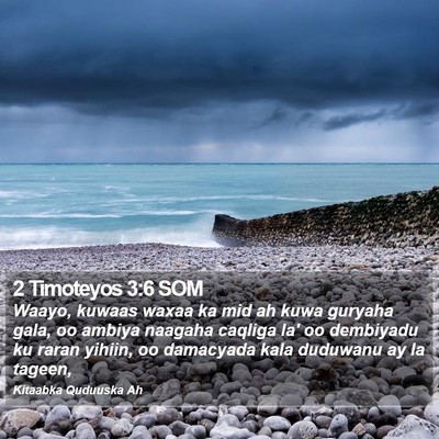 2 Timoteyos 3:6 SOM Bible Verse Image
