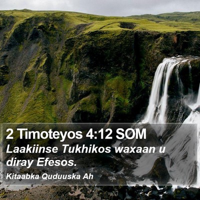 2 Timoteyos 4:12 SOM Bible Verse Image