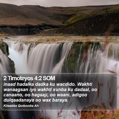 2 Timoteyos 4:2 SOM Bible Verse Image