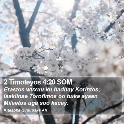 2 Timoteyos 4:20 SOM Bible Verse Image