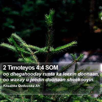 2 Timoteyos 4:4 SOM Bible Verse Image