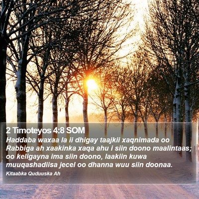 2 Timoteyos 4:8 SOM Bible Verse Image