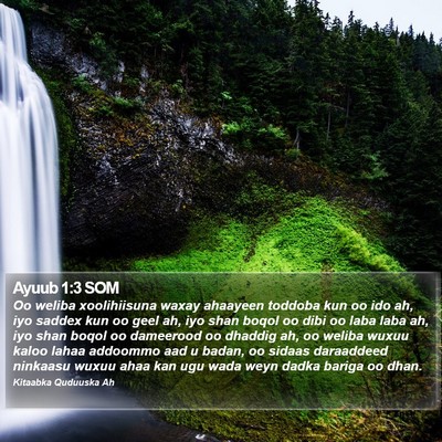 Ayuub 1:3 SOM Bible Verse Image