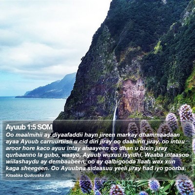 Ayuub 1:5 SOM Bible Verse Image