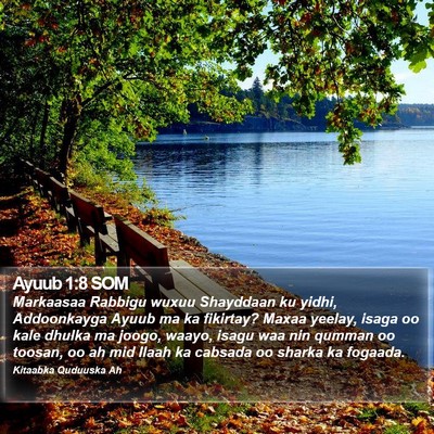 Ayuub 1:8 SOM Bible Verse Image