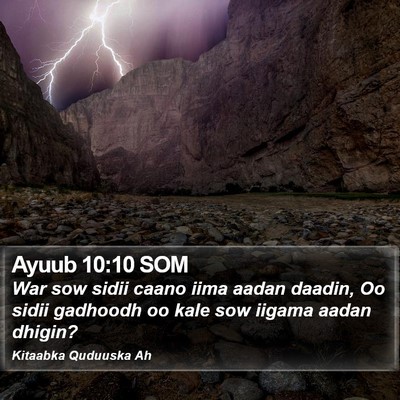 Ayuub 10:10 SOM Bible Verse Image