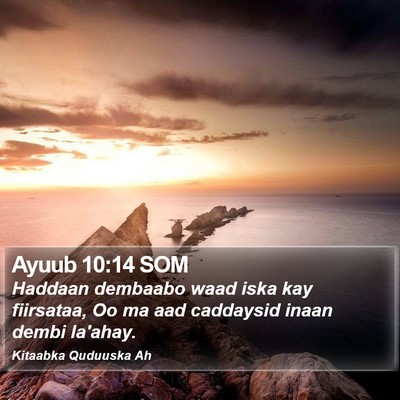 Ayuub 10:14 SOM Bible Verse Image