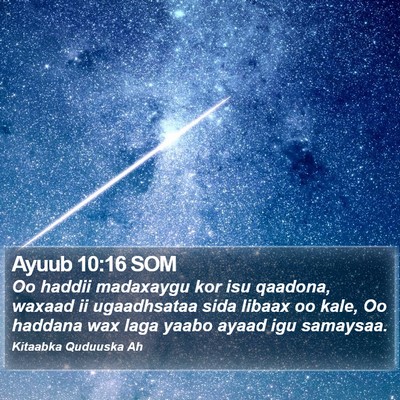 Ayuub 10:16 SOM Bible Verse Image