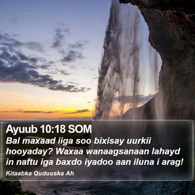 Ayuub 10:18 SOM Bible Verse Image