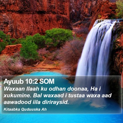 Ayuub 10:2 SOM Bible Verse Image