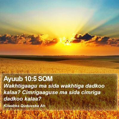 Ayuub 10:5 SOM Bible Verse Image