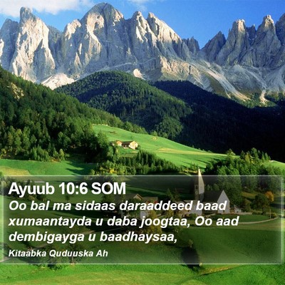 Ayuub 10:6 SOM Bible Verse Image