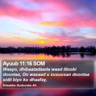 Ayuub 11:16 SOM Bible Verse Image