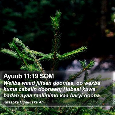 Ayuub 11:19 SOM Bible Verse Image