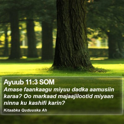 Ayuub 11:3 SOM Bible Verse Image