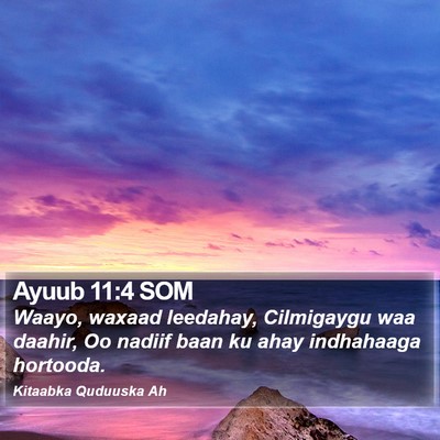 Ayuub 11:4 SOM Bible Verse Image