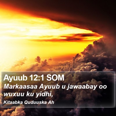 Ayuub 12:1 SOM Bible Verse Image