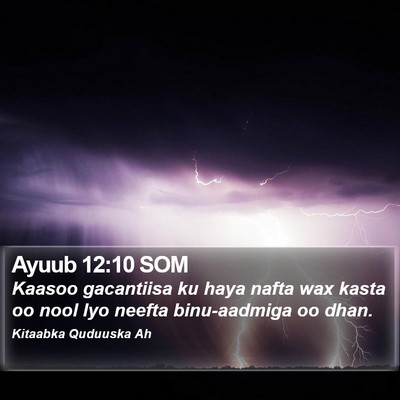 Ayuub 12:10 SOM Bible Verse Image