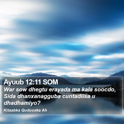 Ayuub 12:11 SOM Bible Verse Image