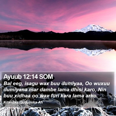 Ayuub 12:14 SOM Bible Verse Image