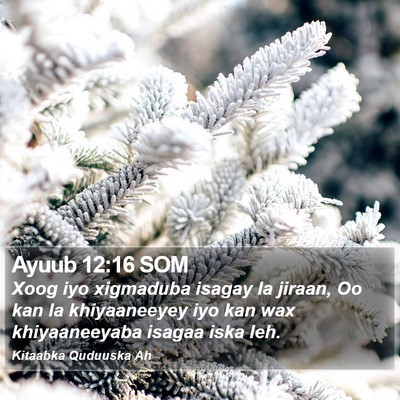 Ayuub 12:16 SOM Bible Verse Image