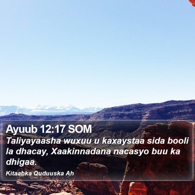 Ayuub 12:17 SOM Bible Verse Image