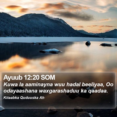 Ayuub 12:20 SOM Bible Verse Image