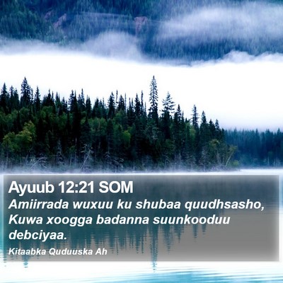 Ayuub 12:21 SOM Bible Verse Image