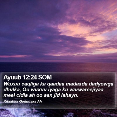 Ayuub 12:24 SOM Bible Verse Image