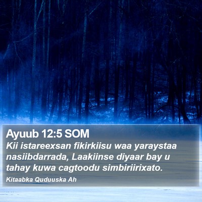 Ayuub 12:5 SOM Bible Verse Image